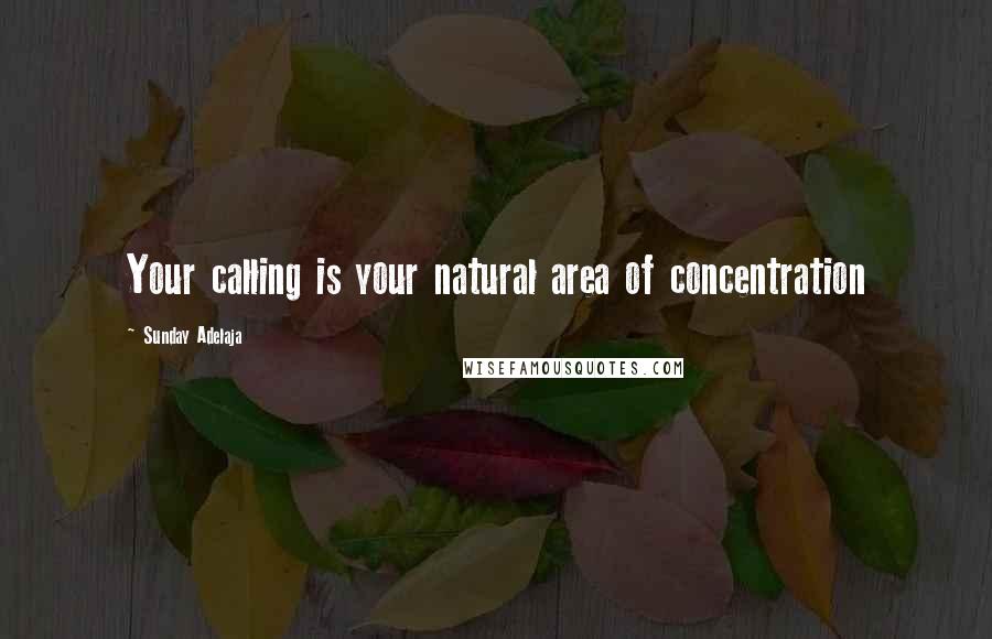 Sunday Adelaja Quotes: Your calling is your natural area of concentration