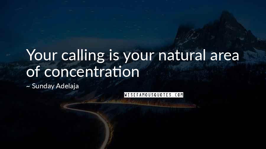 Sunday Adelaja Quotes: Your calling is your natural area of concentration