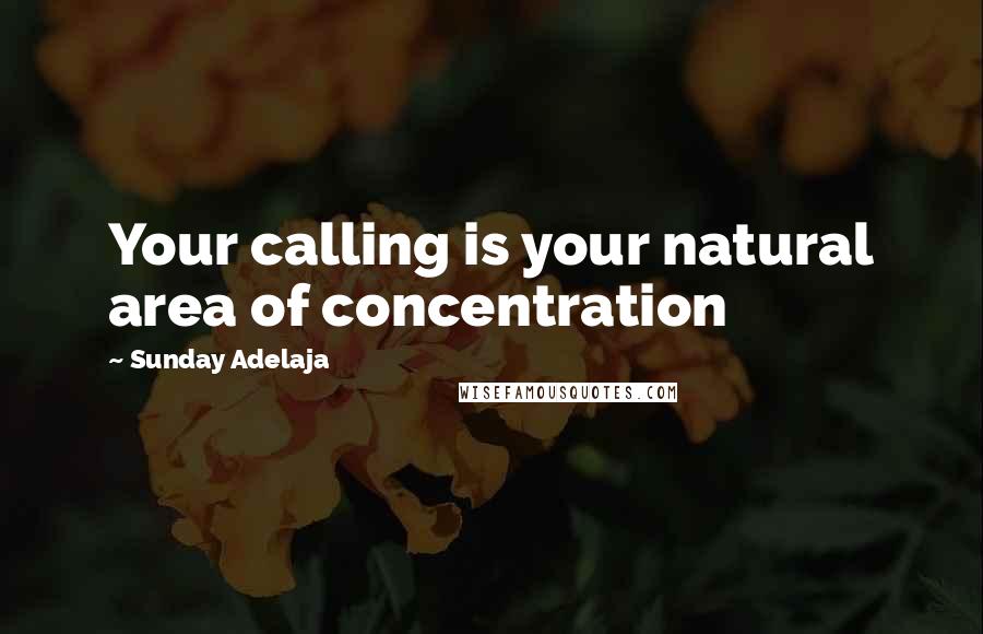 Sunday Adelaja Quotes: Your calling is your natural area of concentration