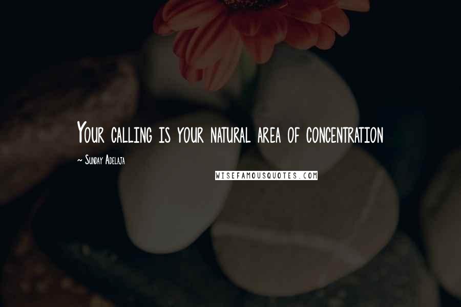 Sunday Adelaja Quotes: Your calling is your natural area of concentration