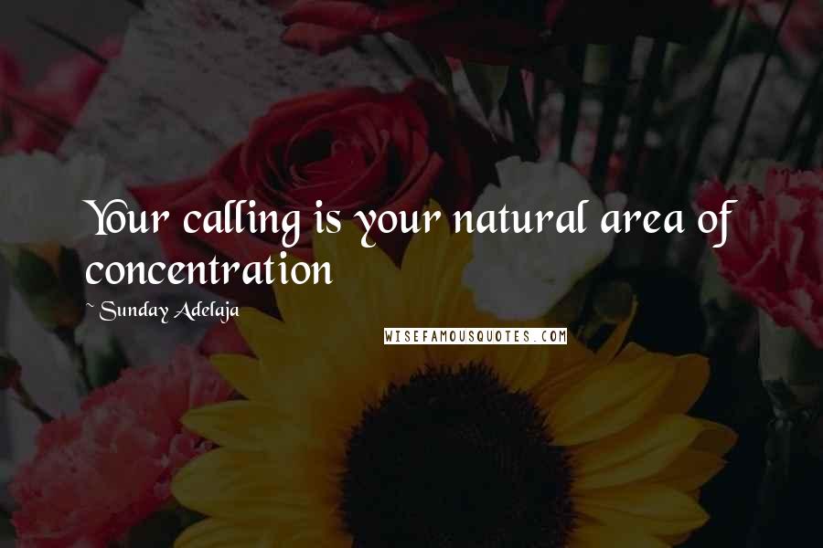 Sunday Adelaja Quotes: Your calling is your natural area of concentration