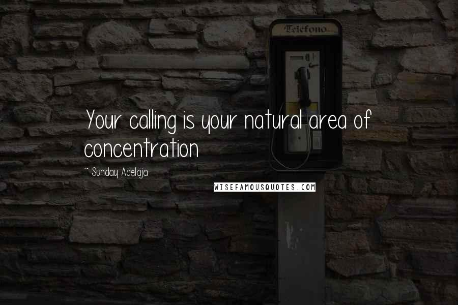 Sunday Adelaja Quotes: Your calling is your natural area of concentration