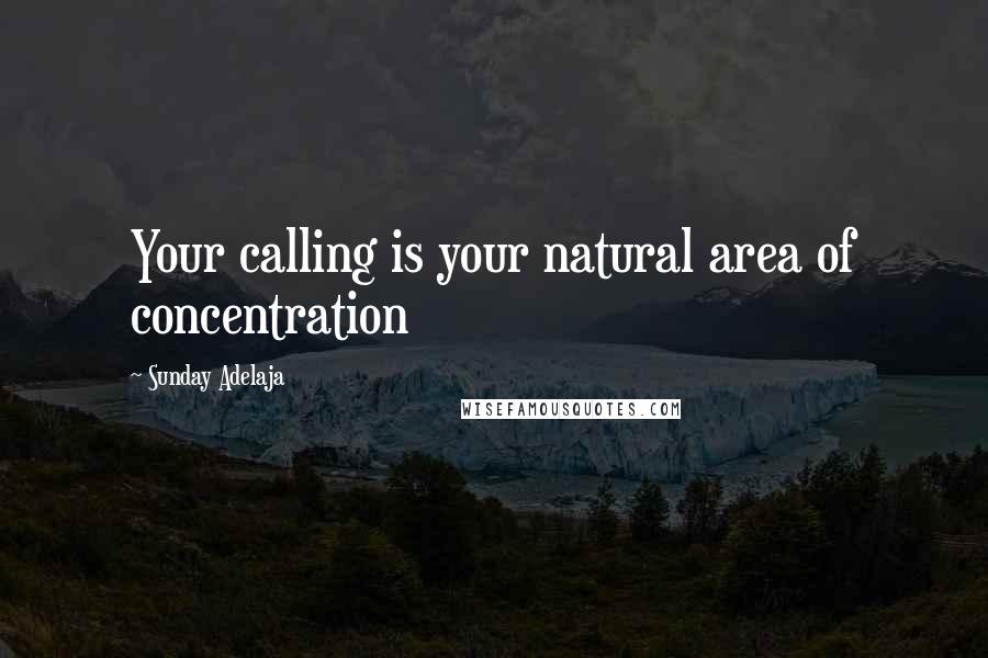 Sunday Adelaja Quotes: Your calling is your natural area of concentration