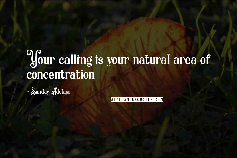 Sunday Adelaja Quotes: Your calling is your natural area of concentration