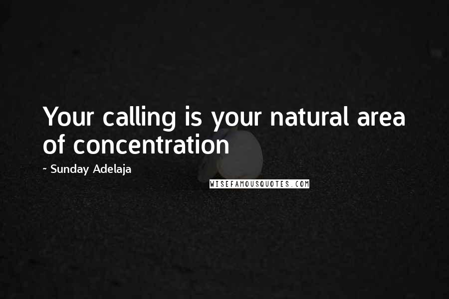 Sunday Adelaja Quotes: Your calling is your natural area of concentration