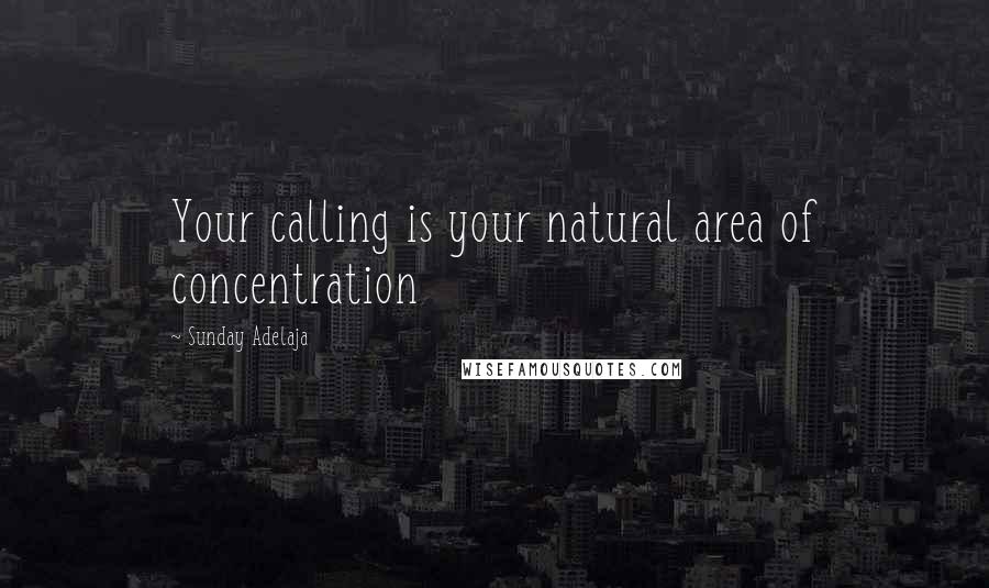 Sunday Adelaja Quotes: Your calling is your natural area of concentration