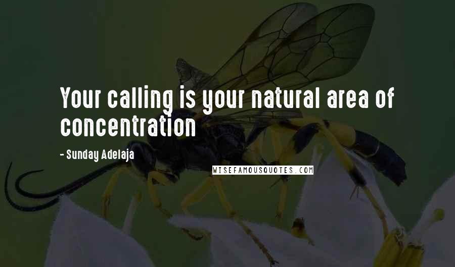 Sunday Adelaja Quotes: Your calling is your natural area of concentration