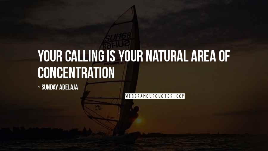 Sunday Adelaja Quotes: Your calling is your natural area of concentration