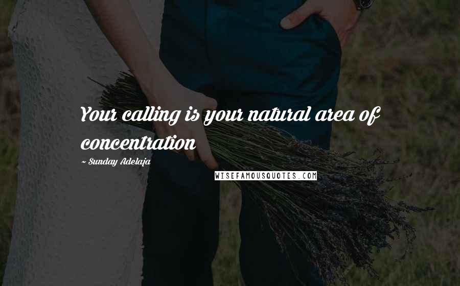 Sunday Adelaja Quotes: Your calling is your natural area of concentration