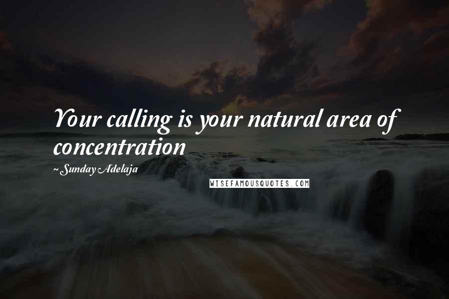 Sunday Adelaja Quotes: Your calling is your natural area of concentration