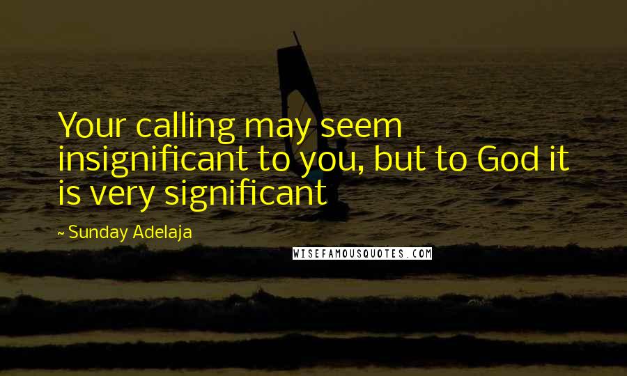 Sunday Adelaja Quotes: Your calling may seem insignificant to you, but to God it is very significant
