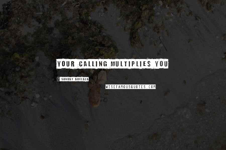 Sunday Adelaja Quotes: Your calling multiplies you