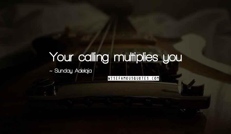 Sunday Adelaja Quotes: Your calling multiplies you
