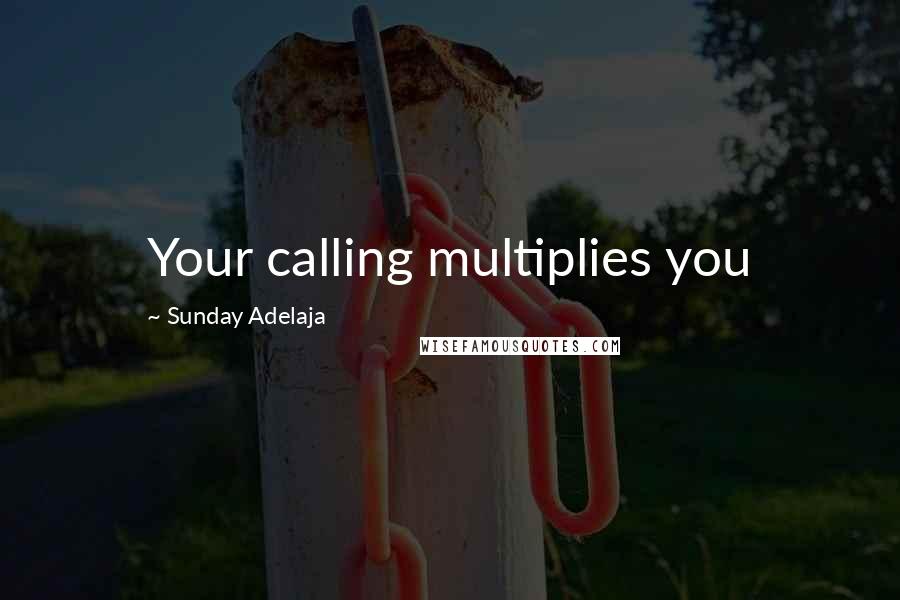 Sunday Adelaja Quotes: Your calling multiplies you