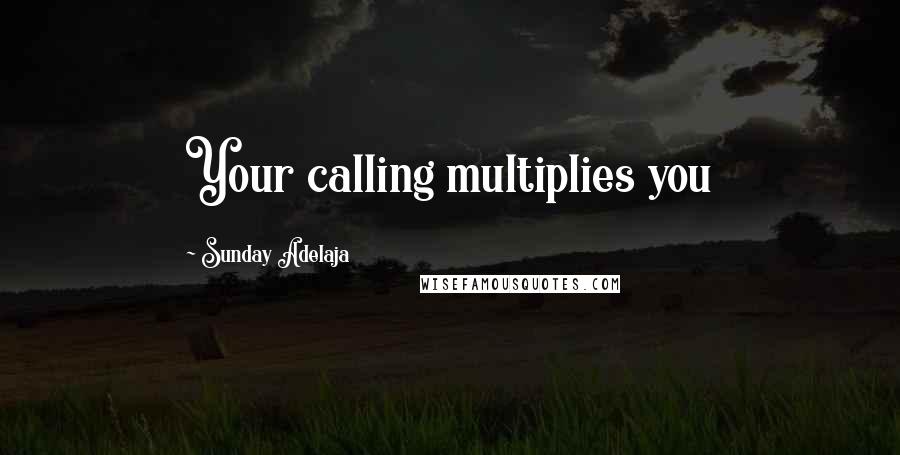 Sunday Adelaja Quotes: Your calling multiplies you