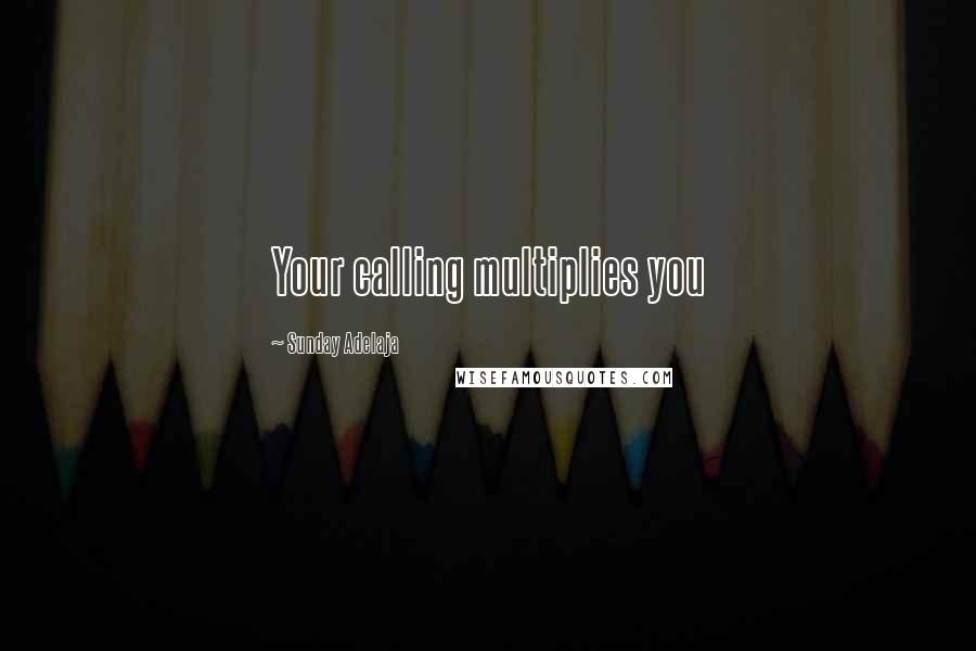 Sunday Adelaja Quotes: Your calling multiplies you