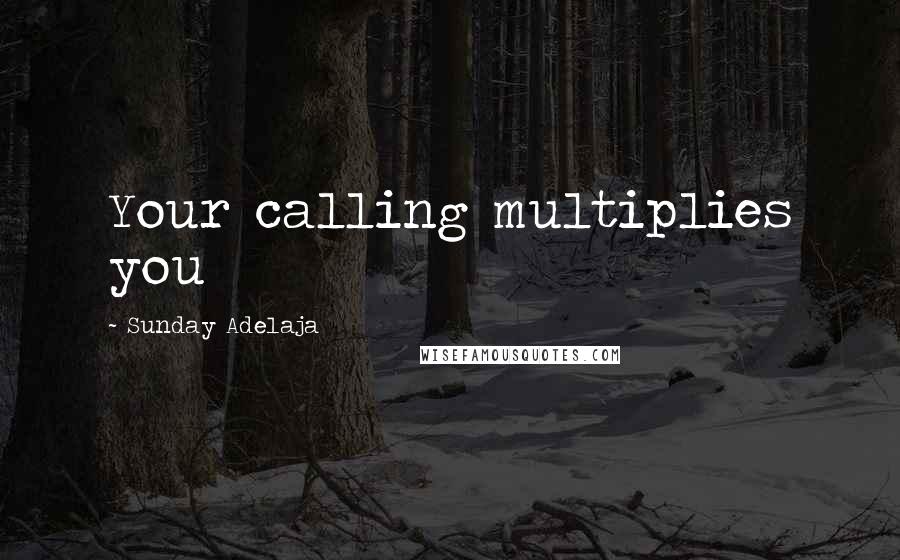 Sunday Adelaja Quotes: Your calling multiplies you