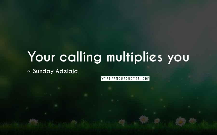 Sunday Adelaja Quotes: Your calling multiplies you