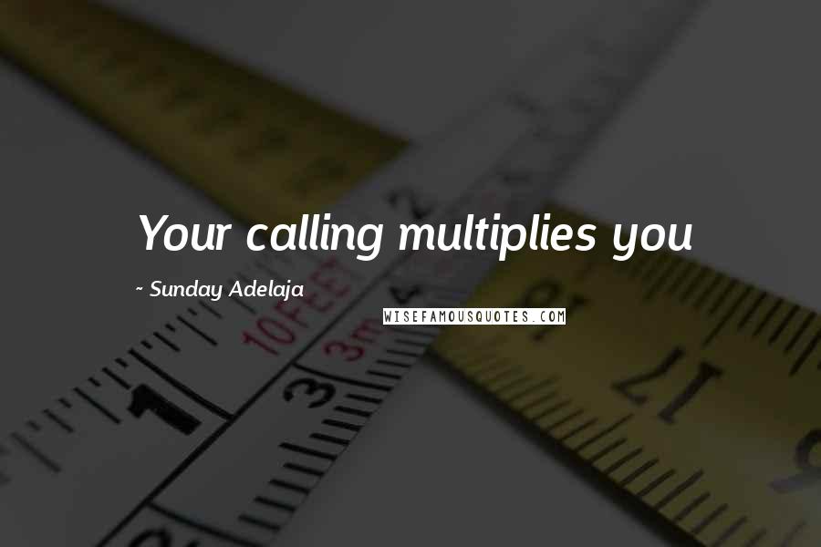 Sunday Adelaja Quotes: Your calling multiplies you