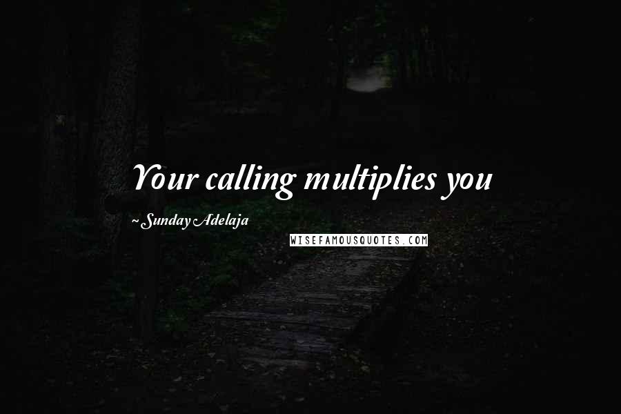 Sunday Adelaja Quotes: Your calling multiplies you