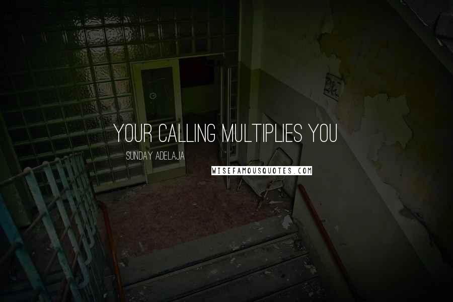 Sunday Adelaja Quotes: Your calling multiplies you