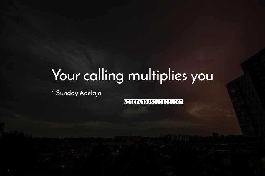 Sunday Adelaja Quotes: Your calling multiplies you