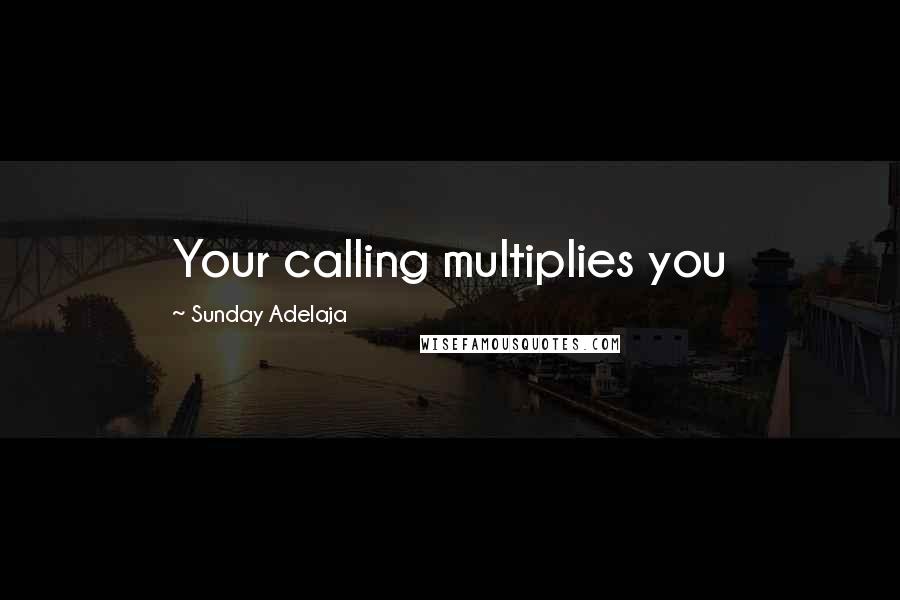 Sunday Adelaja Quotes: Your calling multiplies you