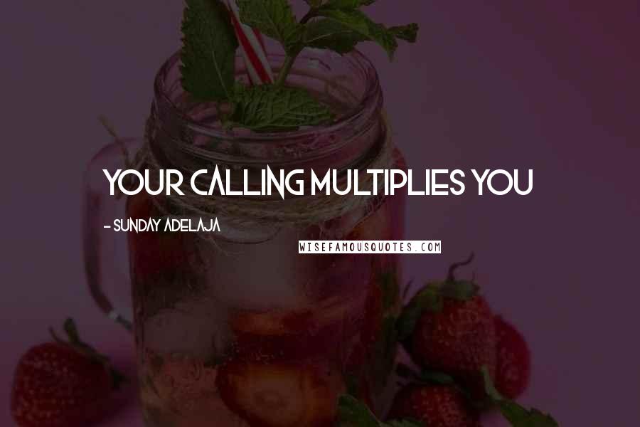 Sunday Adelaja Quotes: Your calling multiplies you