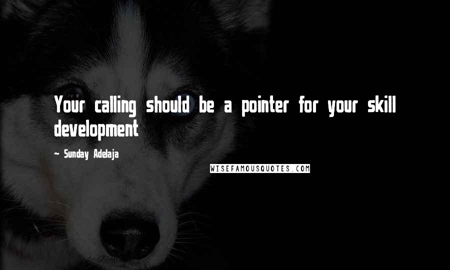 Sunday Adelaja Quotes: Your calling should be a pointer for your skill development