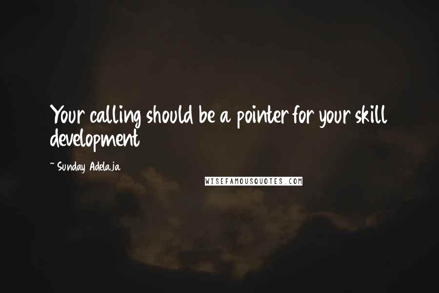 Sunday Adelaja Quotes: Your calling should be a pointer for your skill development