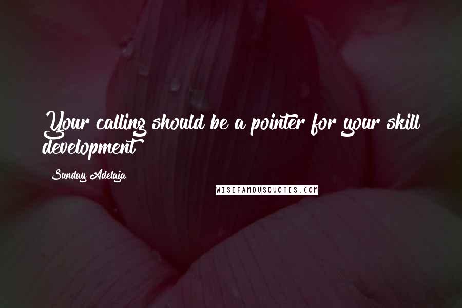 Sunday Adelaja Quotes: Your calling should be a pointer for your skill development