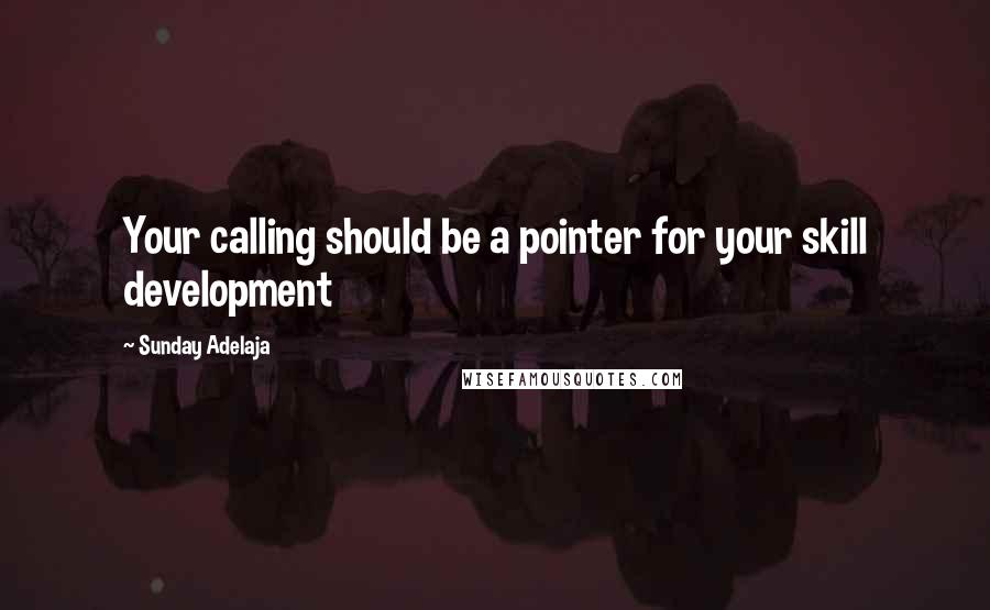 Sunday Adelaja Quotes: Your calling should be a pointer for your skill development