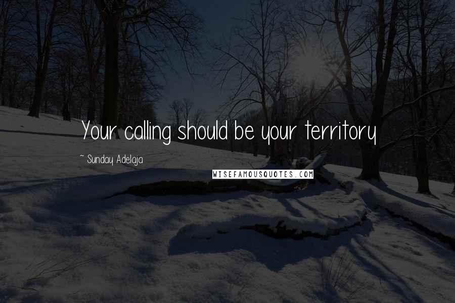 Sunday Adelaja Quotes: Your calling should be your territory