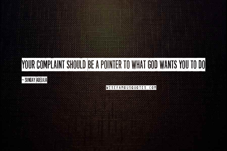 Sunday Adelaja Quotes: Your complaint should be a pointer to what God wants you to do