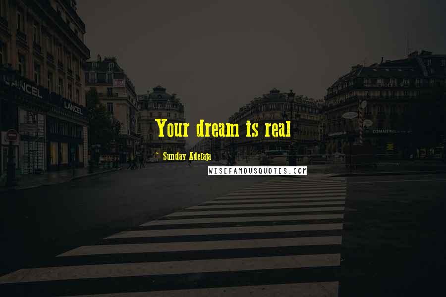 Sunday Adelaja Quotes: Your dream is real