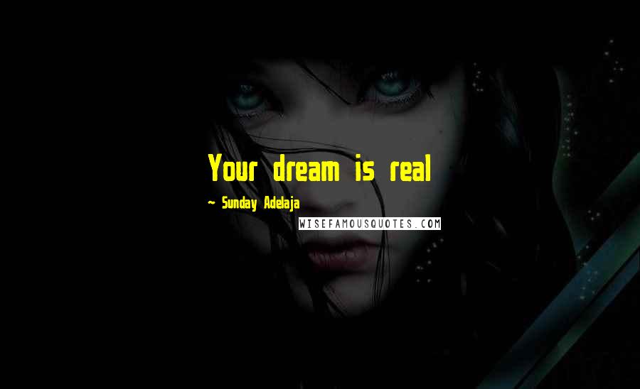 Sunday Adelaja Quotes: Your dream is real