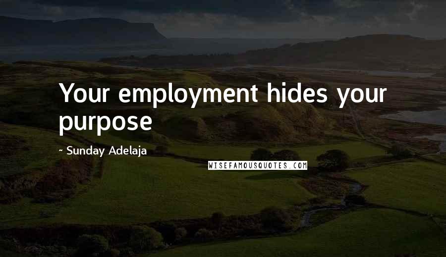 Sunday Adelaja Quotes: Your employment hides your purpose