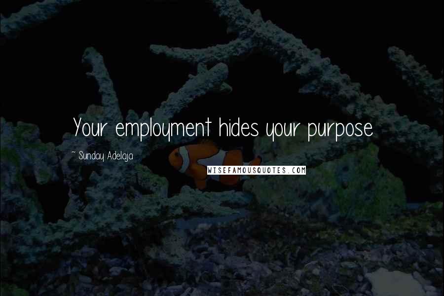 Sunday Adelaja Quotes: Your employment hides your purpose