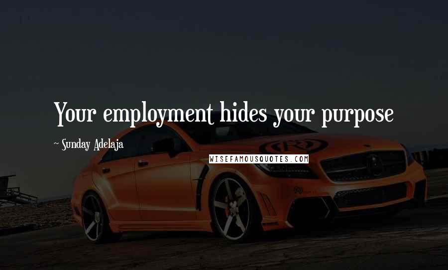 Sunday Adelaja Quotes: Your employment hides your purpose