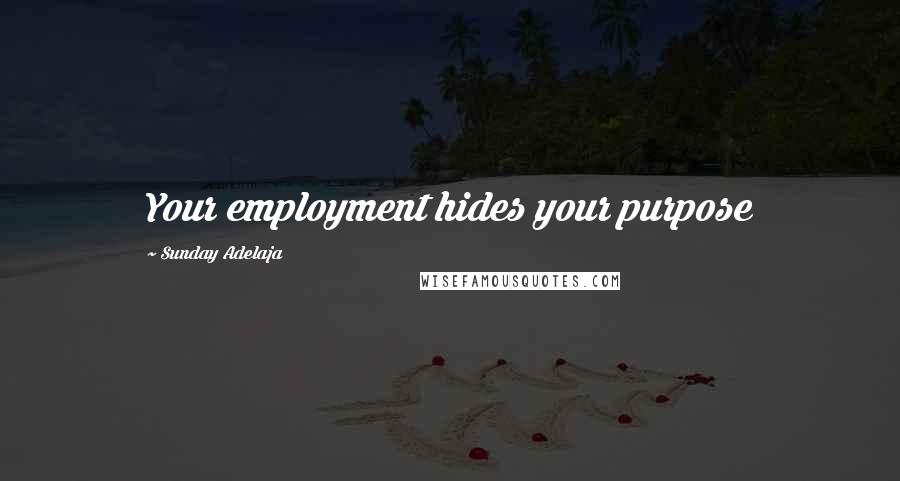 Sunday Adelaja Quotes: Your employment hides your purpose