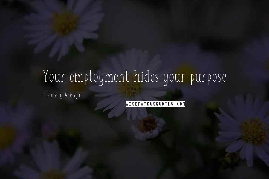 Sunday Adelaja Quotes: Your employment hides your purpose