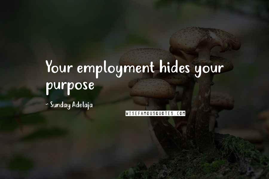 Sunday Adelaja Quotes: Your employment hides your purpose