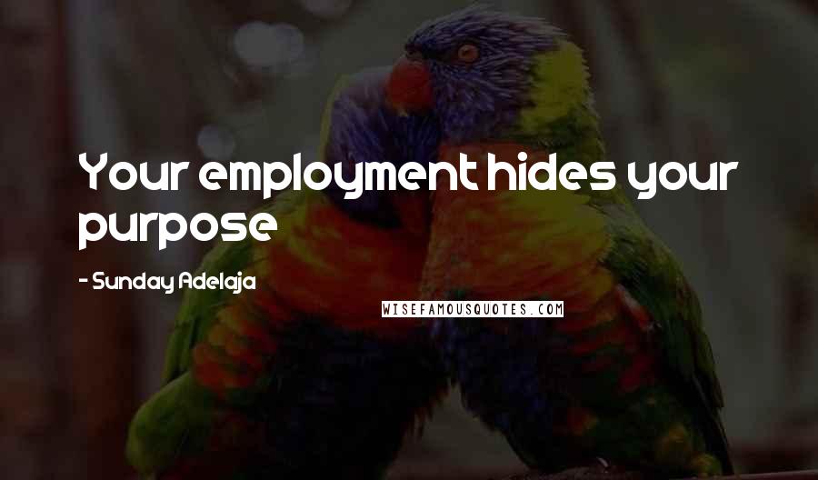 Sunday Adelaja Quotes: Your employment hides your purpose