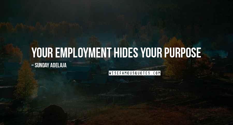 Sunday Adelaja Quotes: Your employment hides your purpose