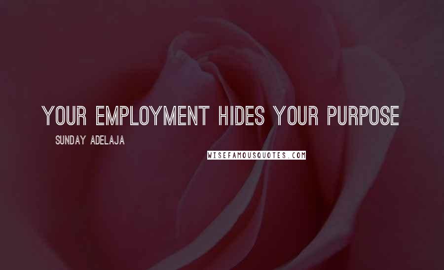 Sunday Adelaja Quotes: Your employment hides your purpose