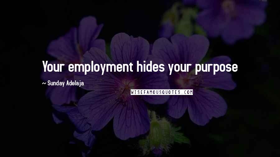 Sunday Adelaja Quotes: Your employment hides your purpose