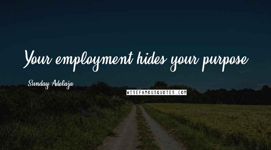 Sunday Adelaja Quotes: Your employment hides your purpose