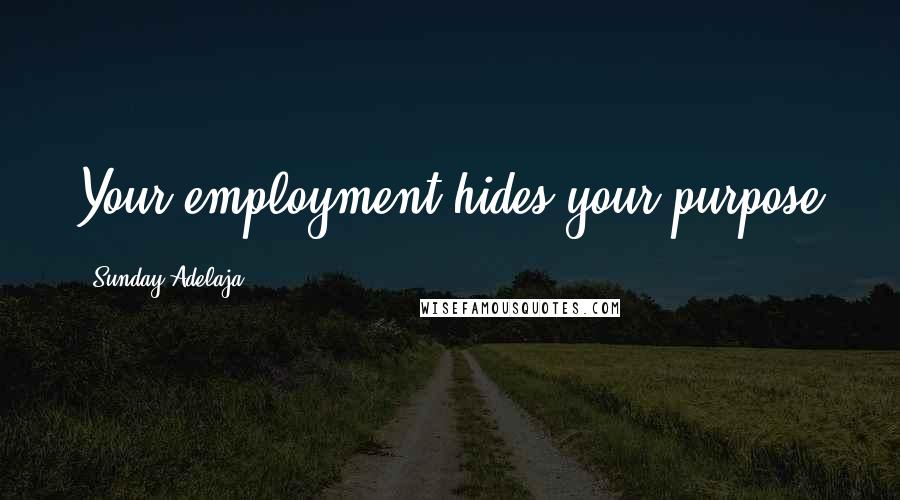 Sunday Adelaja Quotes: Your employment hides your purpose