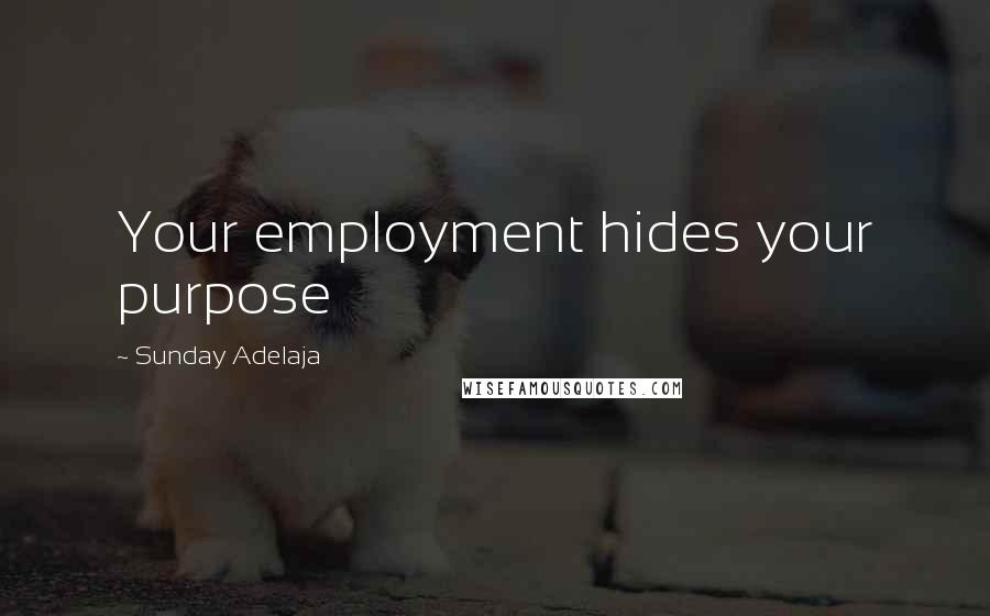 Sunday Adelaja Quotes: Your employment hides your purpose