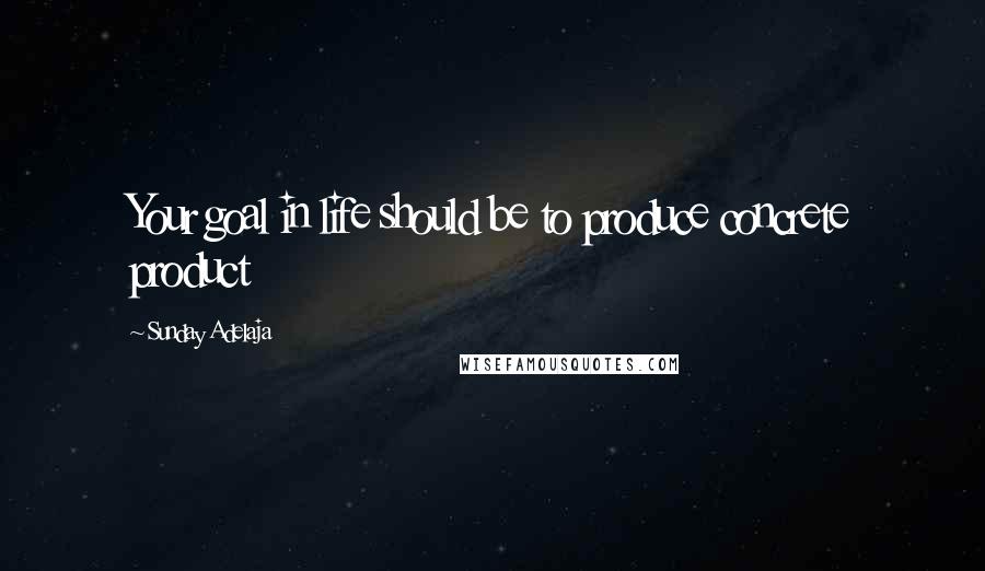 Sunday Adelaja Quotes: Your goal in life should be to produce concrete product